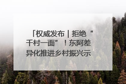 权威发布｜拒绝“千村一面”！东阿差异化推进乡村振兴示范片区建设