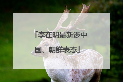 李在明最新涉中国、朝鲜表态