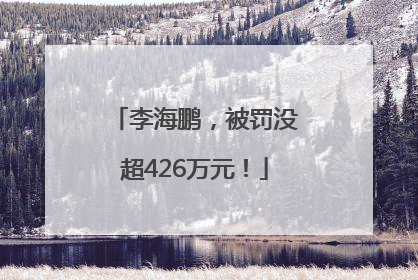 李海鹏，被罚没超426万元！