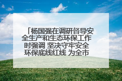 杨国强在调研督导安全生产和生态环保工作时强调 坚决守牢安全环保底线红线 为全市经济社会高质量发展提供坚强保障