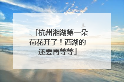 杭州湘湖第一朵荷花开了！西湖的还要再等等