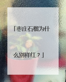 枣庄石榴为什么别样红？