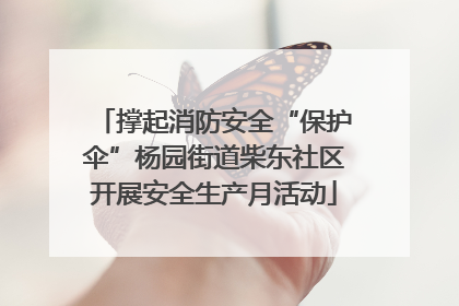 撑起消防安全“保护伞”杨园街道柴东社区开展安全生产月活动