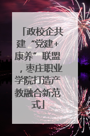政校企共建“党建+康养”联盟，枣庄职业学院打造产教融合新范式