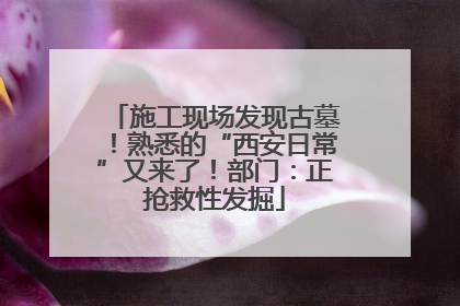 施工现场发现古墓！熟悉的“西安日常”又来了！部门：正抢救性发掘