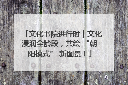 文化书院进行时｜文化浸润全龄段，共绘 “朝阳模式” 新图景！