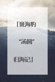 斑海豹“汤圆”归海记