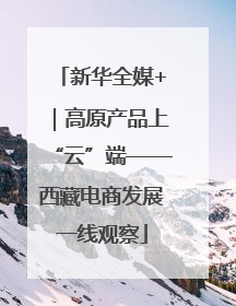 新华全媒+｜高原产品上“云”端——西藏电商发展一线观察
