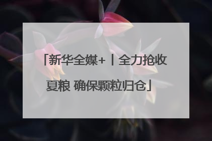 新华全媒+丨全力抢收夏粮 确保颗粒归仓