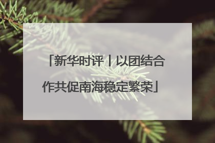 新华时评丨以团结合作共促南海稳定繁荣