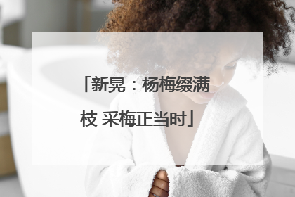 新晃：杨梅缀满枝 采梅正当时