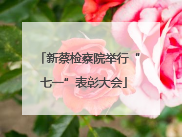 新蔡检察院举行“七一”表彰大会