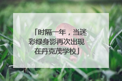 时隔一年，当迷彩绿身影再次出现在丹克茂学校