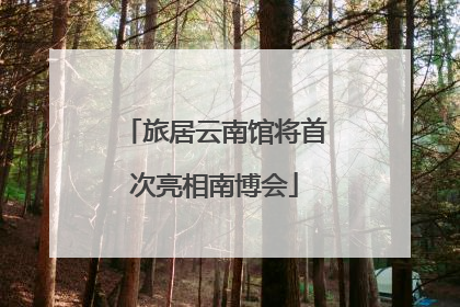旅居云南馆将首次亮相南博会