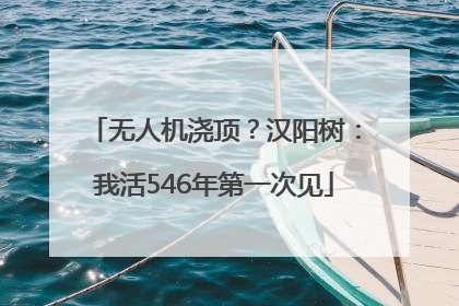 无人机浇顶？汉阳树：我活546年第一次见
