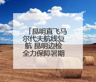 昆明直飞马尔代夫航线复航 昆明边检全力保障暑期跨境游