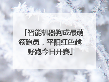 智能机器狗成最萌领跑员，平阳红色越野跑今日开赛