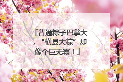 普通粽子巴掌大，“横县大粽”却像个巨无霸！