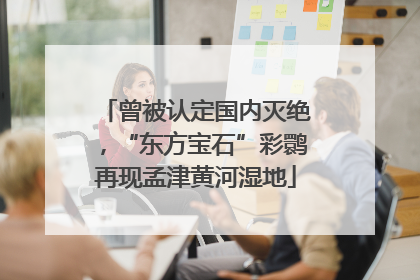 曾被认定国内灭绝，“东方宝石”彩鹮再现孟津黄河湿地