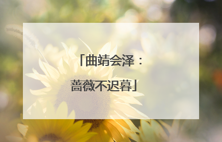 曲靖会泽：蔷薇不迟暮