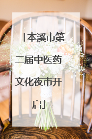 本溪市第二届中医药文化夜市开启