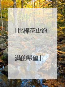 比棉花更饱满的希望