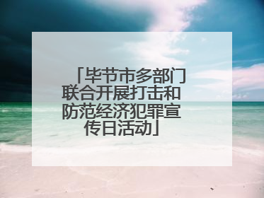 毕节市多部门联合开展打击和防范经济犯罪宣传日活动