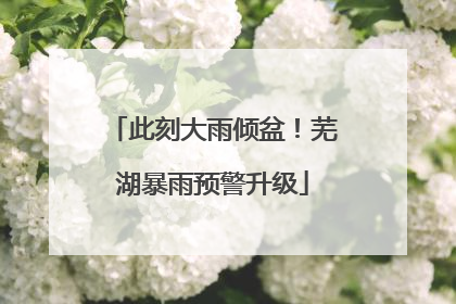 此刻大雨倾盆！芜湖暴雨预警升级