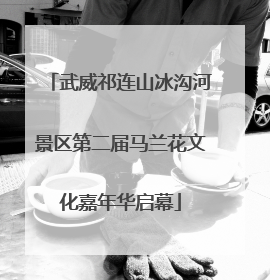 武威祁连山冰沟河景区第二届马兰花文化嘉年华启幕