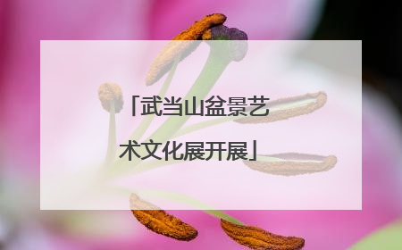 武当山盆景艺术文化展开展