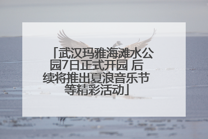 武汉玛雅海滩水公园7日正式开园 后续将推出夏浪音乐节等精彩活动