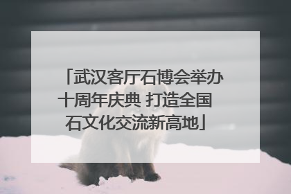 武汉客厅石博会举办十周年庆典 打造全国石文化交流新高地