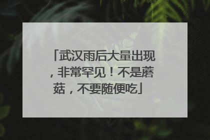 武汉雨后大量出现，非常罕见！不是蘑菇，不要随便吃