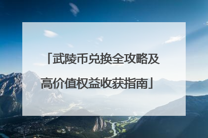 武陵币兑换全攻略及高价值权益收获指南