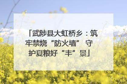 武陟县大虹桥乡：筑牢禁烧“防火墙” 守护夏粮好“丰”景