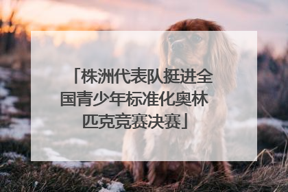 株洲代表队挺进全国青少年标准化奥林匹克竞赛决赛