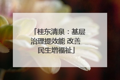 桂东清泉：基层治理提效能 改善民生增福祉