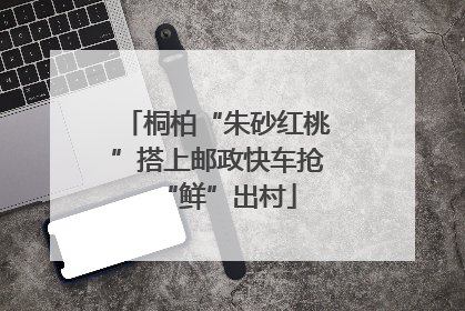 桐柏“朱砂红桃”搭上邮政快车抢“鲜”出村