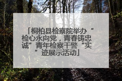 桐柏县检察院举办“检心永向党，青春铸忠诚”青年检察干警“实”迹展示活动
