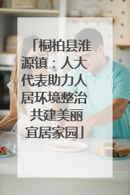 桐柏县淮源镇：人大代表助力人居环境整治 共建美丽宜居家园