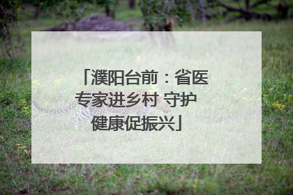 濮阳台前：省医专家进乡村 守护健康促振兴