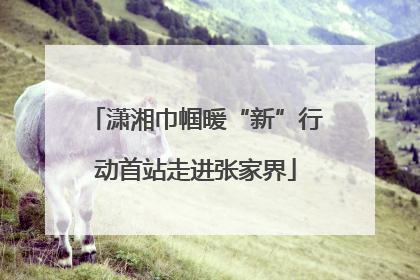 潇湘巾帼暖“新”行动首站走进张家界