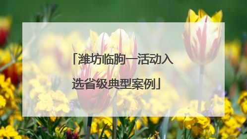 潍坊临朐一活动入选省级典型案例
