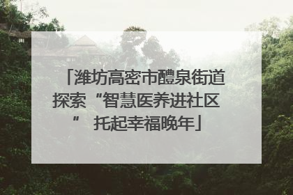 潍坊高密市醴泉街道探索“智慧医养进社区” 托起幸福晚年