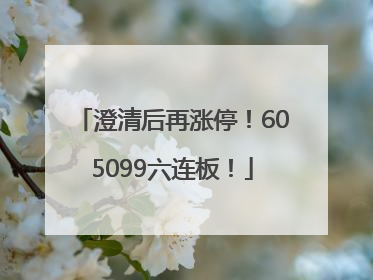 澄清后再涨停！605099六连板！