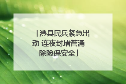 澧县民兵紧急出动 连夜封堵管涌除险保安全
