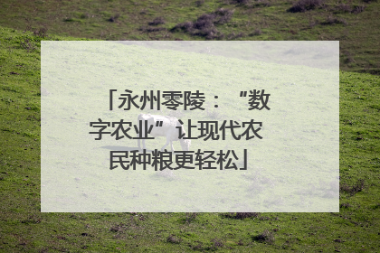 永州零陵：“数字农业”让现代农民种粮更轻松