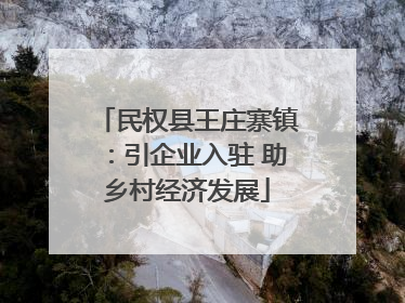 民权县王庄寨镇：引企业入驻 助乡村经济发展
