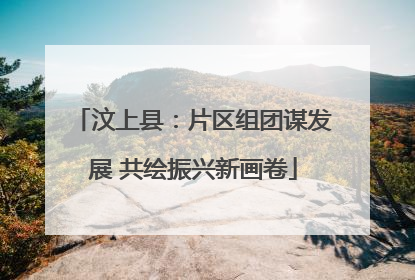 汶上县：片区组团谋发展 共绘振兴新画卷