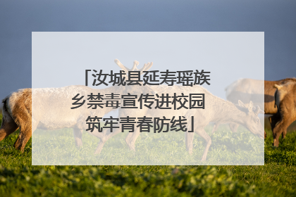 汝城县延寿瑶族乡禁毒宣传进校园 筑牢青春防线